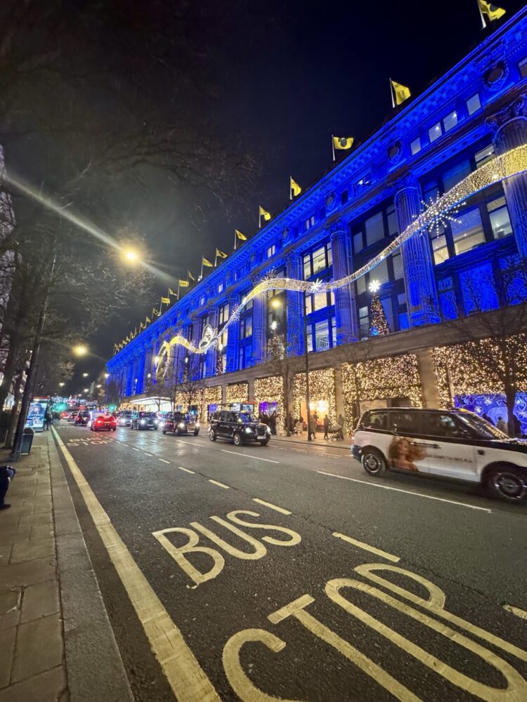 London’s 2025 Christmas Windows 109 IMG 5287 Large