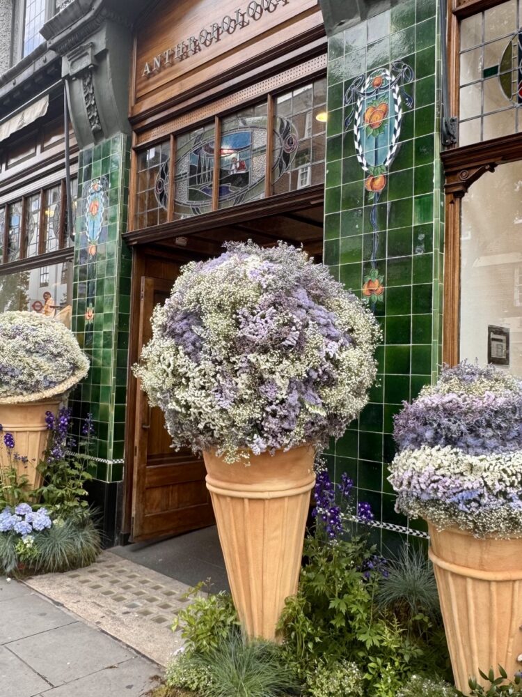 Chelsea In Bloom 2026 Is Out Of This World 32 IMG 8631 Large